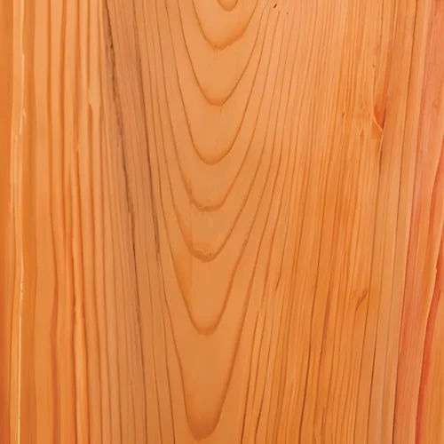 Douglas Fir
